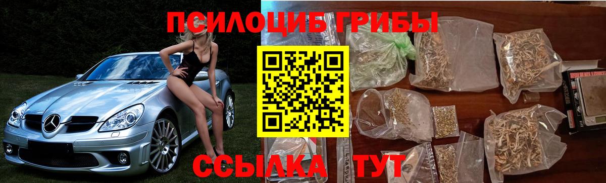 Тула  Псилоцибиновые грибы Psilocybe  наркота  Вход с VPN  Галлюциногенные грибы мицелий 